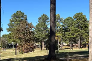 558 Chapel Ridge Dr, Pittsboro, NC 27312 - Photo 29