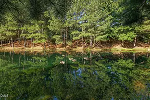 3012 Leith Meadow Ct, Cary, NC 27511 - Photo 57