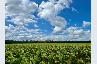 8450 Shallow Creek Trail #Lot 205, Bailey, NC 27807 - Photo 31