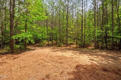 0 S Plank Road #Track 2, Sanford, NC 27330 - Photo 19
