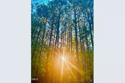 0 S Plank Road #Track 2, Sanford, NC 27330 - Photo 11