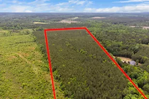 0 S Plank Rd, Sanford, NC 27330 - Photo 35