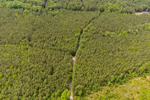 0 S Plank Rd, Sanford, NC 27330 - Photo 31