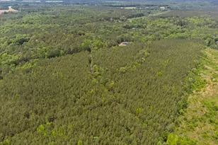 0 S Plank Rd, Sanford, NC 27330 - Photo 29