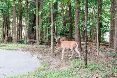 4821 Gossamer Lane #103, Raleigh, NC 27616 - Photo 39