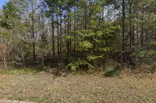 7411 Birchbend Ln, Lewisville, NC 27023 - Photo 1