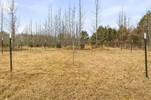 274 Powers Country Ln, Bennett, NC 27208 - Photo 53