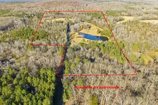 274 Powers Country Ln, Bennett, NC 27208 - Photo 63