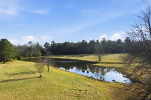 274 Powers Country Ln, Bennett, NC 27208 - Photo 51