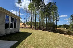 74 S Blue Sly Trl, Selma, NC 27576 - Photo 17