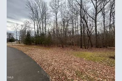 0 Weaver Ridge Road, Rougemont, NC 27572 - Photo 3