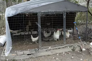 7117 Sunset Lake Rd, Fuquay Varina, NC 27526 - Photo 39