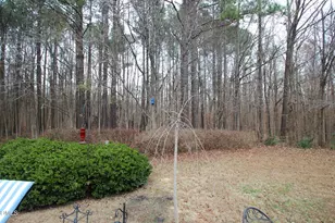 1219 Cranebridge Pl, Chapel Hill, NC 27517 - Photo 29