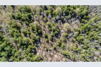 175 Glendale Lane, Roxboro, NC 27574 - Photo 9