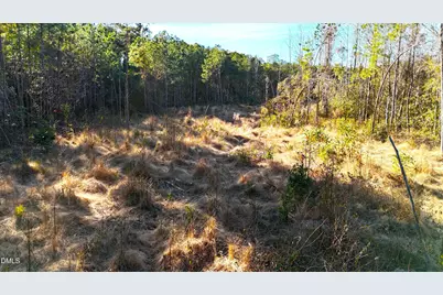 Lot 2 Old Nc 903 Highway, Kenansville, NC 28349 - Photo 9