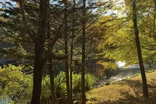 101 Highlands Lake Dr, Cary, NC 27518 - Photo 3