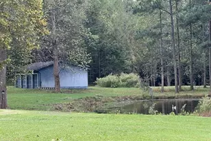 3182 Black Creek, Four Oaks, NC 27524 - Photo 3