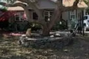 135 NW 5th St, Oak Island, NC 28465 - Photo 1