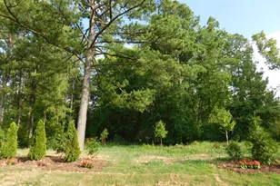 705 Ahad Ct, Apex, NC 27523 - Photo 69