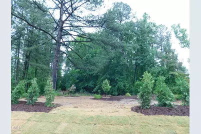 705 Ahad Court, Apex, NC 27523 - Photo 79