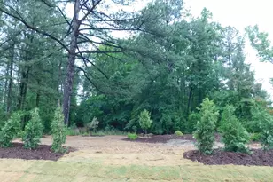 705 Ahad Ct, Apex, NC 27523 - Photo 79