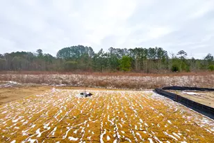 356 Catheys Crk Cir, Wendell, NC 27591 - Photo 25