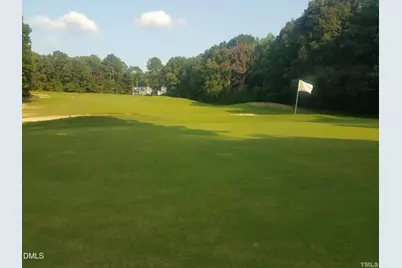 952 Sagamore Drive, Louisburg, NC 27549 - Photo 71