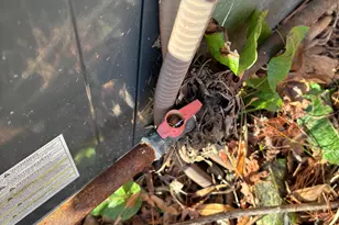 1126 Benning St, Durham, NC 27703 - Photo 29