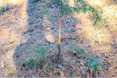 00 Overhills Road, Spring Lake, NC 28390 - Photo 27