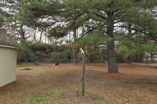 207 Branch St, Black Creek, NC 27813 - Photo 21