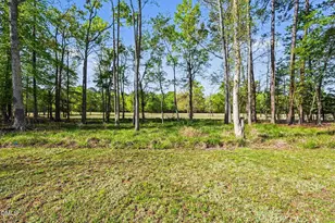 169 Black Cloud Dr, Louisburg, NC 27549 - Photo 37