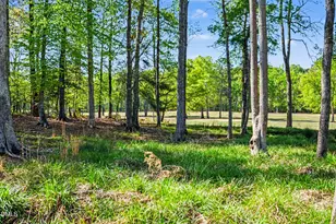 169 Black Cloud Dr, Louisburg, NC 27549 - Photo 39