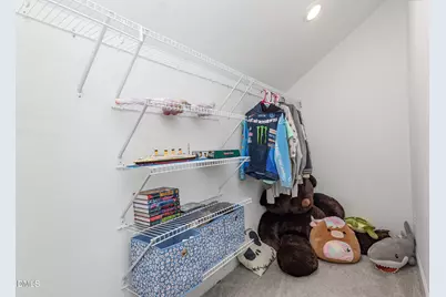 169 Black Cloud Drive, Louisburg, NC 27549 - Photo 33