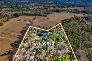 626 Bailey Rd, Coats, NC 27521 - Photo 7