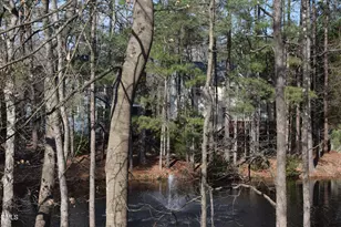 105 Martins Point Pl, Cary, NC 27519 - Photo 31