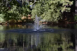 105 Martins Point Pl, Cary, NC 27519 - Photo 33