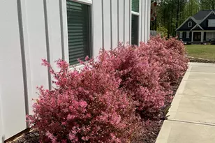 22 Royal Ella Ct, Fuquay Varina, NC 27526 - Photo 3