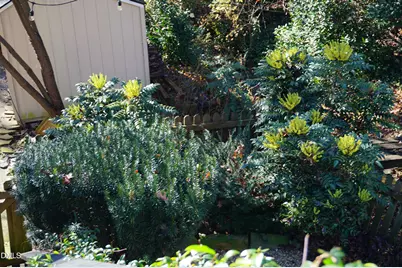 5013 Hollyridge Drive, Raleigh, NC 27612 - Photo 43