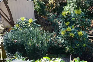 5013 Hollyridge Dr, Raleigh, NC 27612 - Photo 43