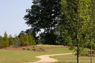 168 Siebold St, Garner, NC 27529 - Photo 59