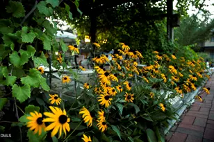 807 W Trinity Ave, Durham, NC 27701 - Photo 27