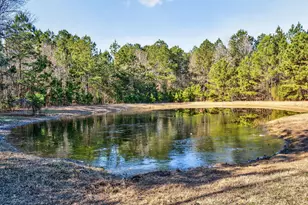 111 Hales Rd, Kenly, NC 27542 - Photo 41