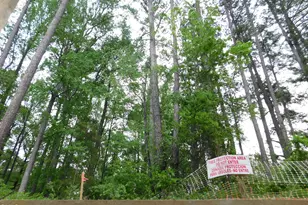 2542 Vining Br Wy, Apex, NC 27523 - Photo 83
