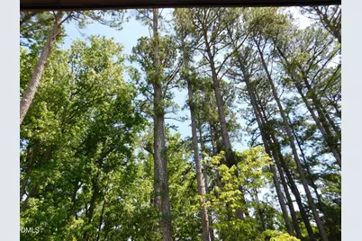2542 Vining Branch Way, Apex, NC 27523 - Photo 39