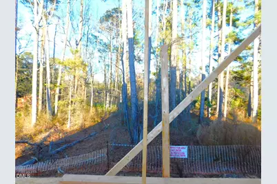 2542 Vining Branch Way, Apex, NC 27523 - Photo 59