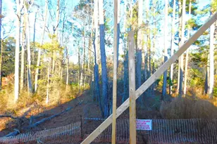 2542 Vining Br Wy, Apex, NC 27523 - Photo 59