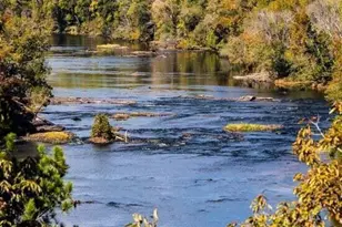 24 Charlie Cir, Angier, NC 27501 - Photo 43