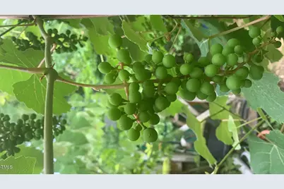 500 N Gulf Street, Sanford, NC 27330 - Photo 19