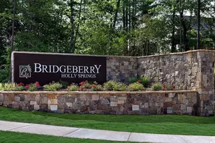 200 Diamond Bluff Ln, Holly Springs, NC 27540 - Photo 21