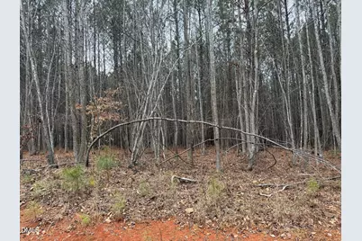 1652 Garrett Farm Road, Stem, NC 27581 - Photo 3